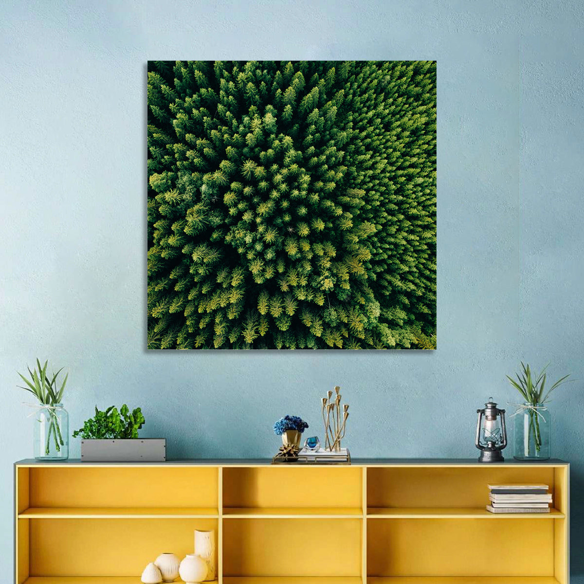 Aerial Conifer Canopy Wall Art in a room, square