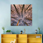 Misty Forest Canopy Wall Art