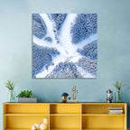 Birds-eye Ski Resort Landscape Wall Art