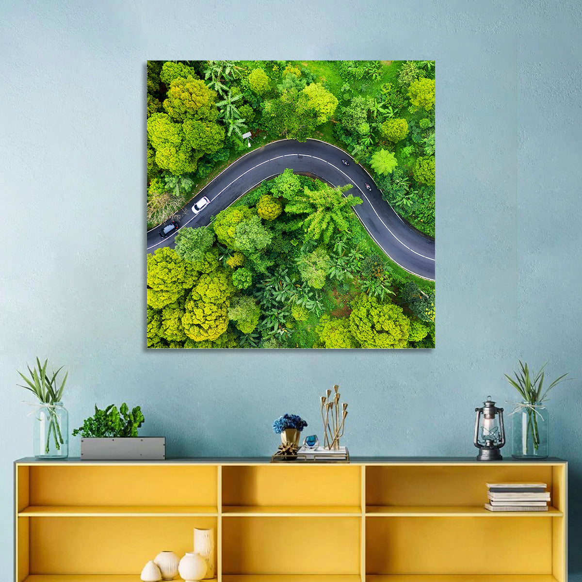 Summer Forest Road Aerial Wall Art