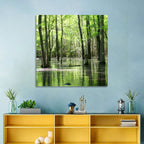Sunlit Swamp Forest Wall Art