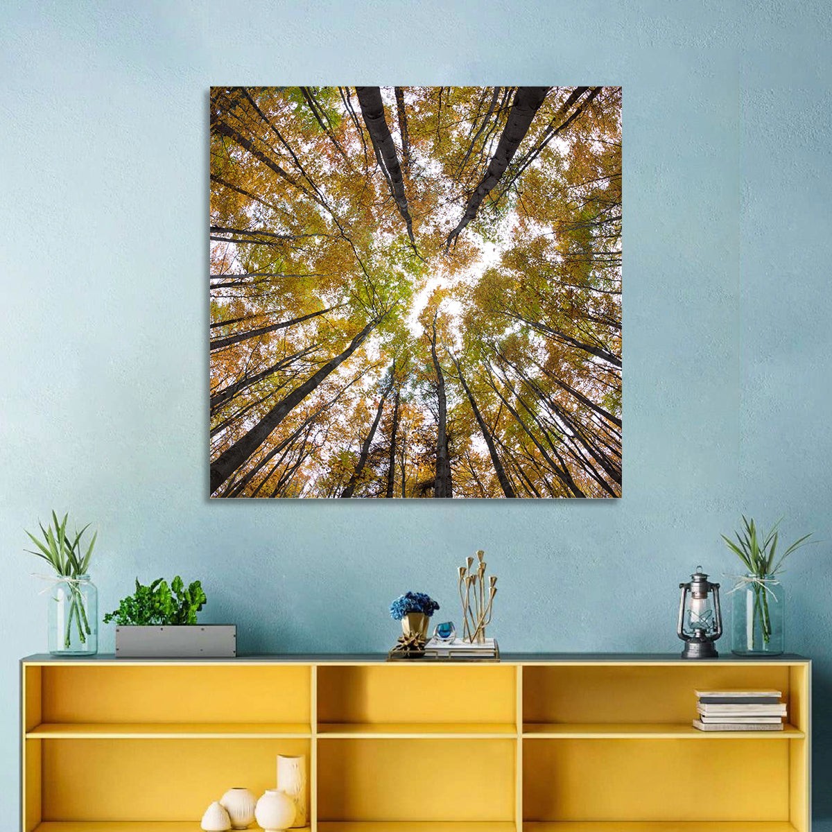 Autumn Forest Canopy Looking Up Wall Art in a room, square