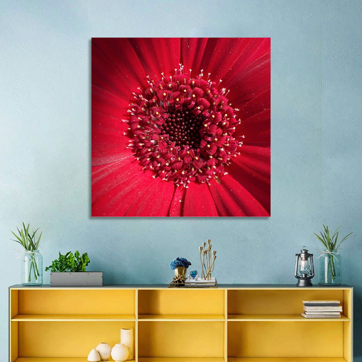 Red Gerbera Daisy Macro Close Up Wall Art in a room, square