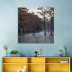 Caddo Lake Morning Mist Wall Art