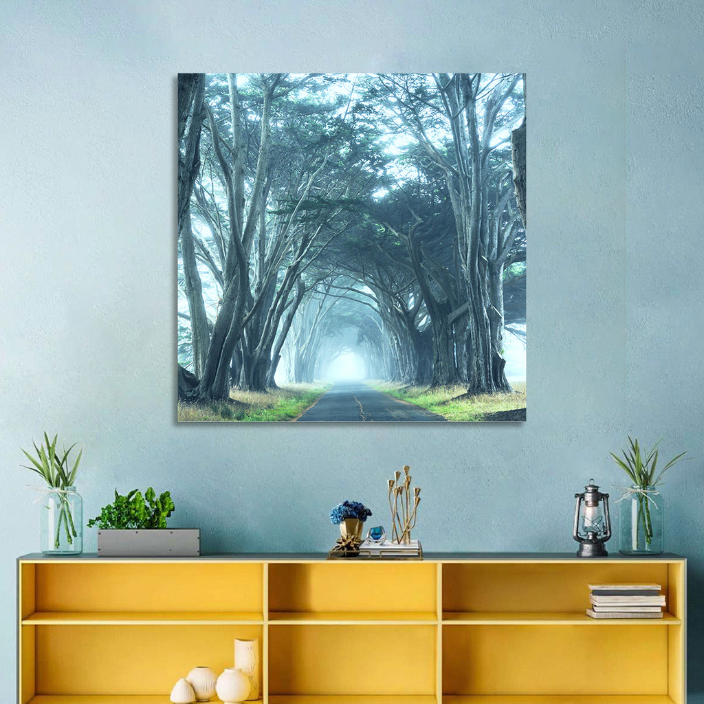 Foggy Cypress Tree Tunnel Wall Art