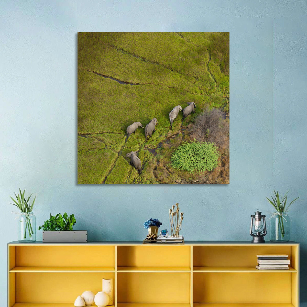 Aerial Herd of Elephants Wall Art in a room, square