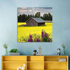 Finnish Barn in Yellow Field Wall Art