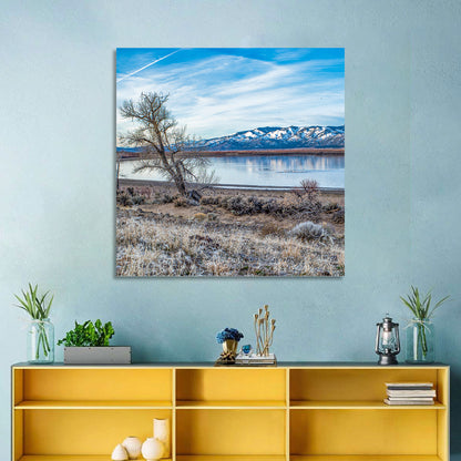Washoe Lake Wall Art