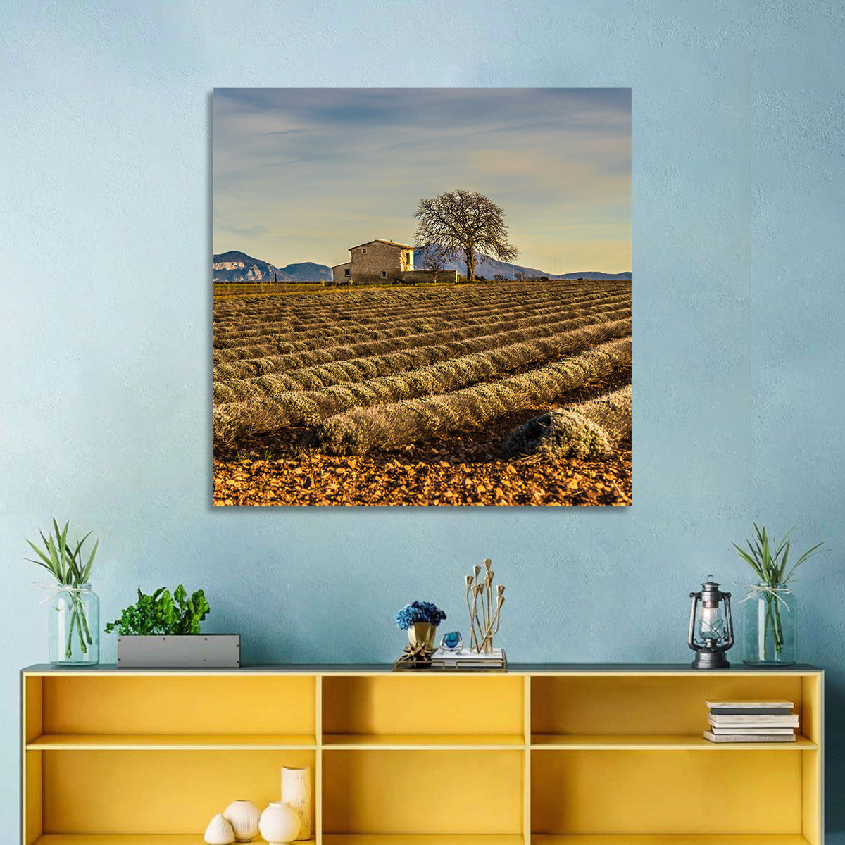Rustic Provence Lavender Rows at Golden Hour Wall Art in a room, square