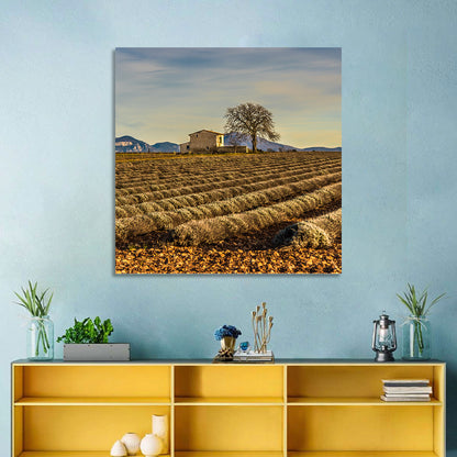 Provence Lavender Wall Art
