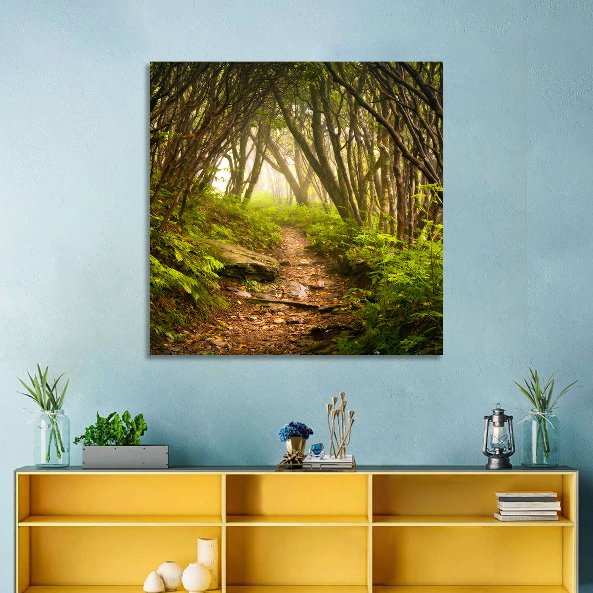 Craggy Gardens Hiking Trail Wall Art