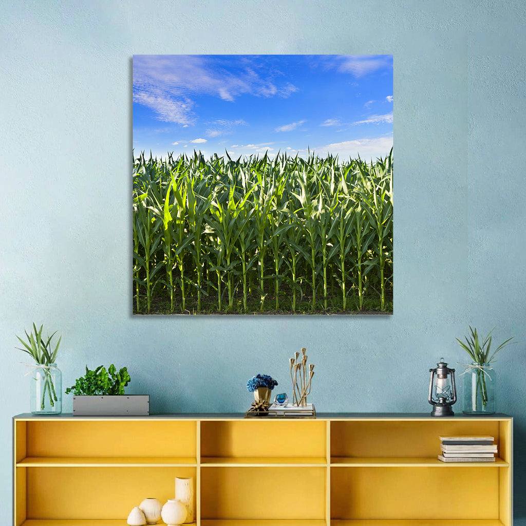 Green Corn Field Wall Art