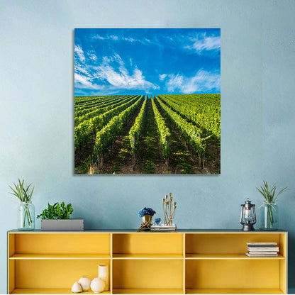 Luxembourg Vineyards Wall Art