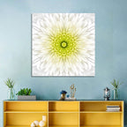 White Chrysanthemum Mandala Close Up Wall Art