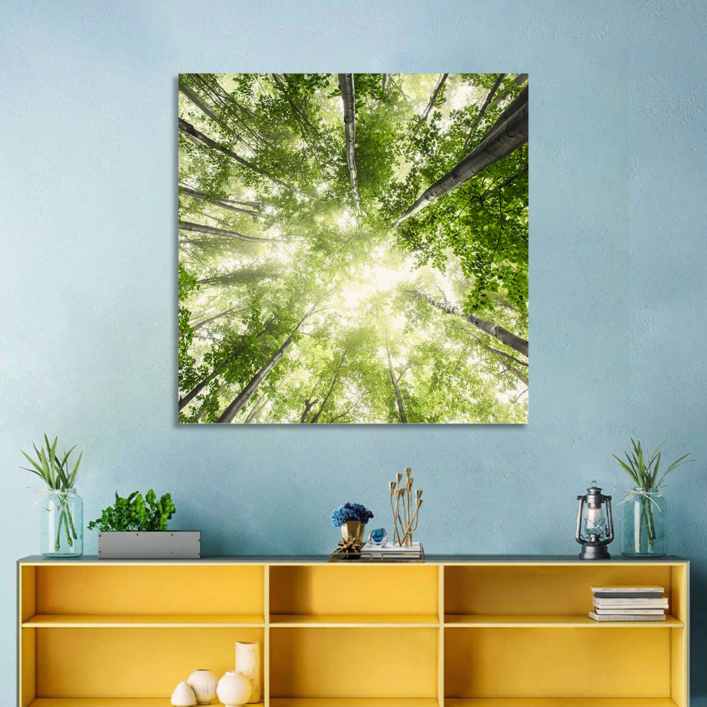 Spring Canopy in Morning Mist Wall Art