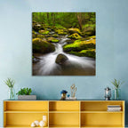 Mossy Forest Stream Wall Art