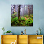 Misty Spruce-fir Trail Wall Art