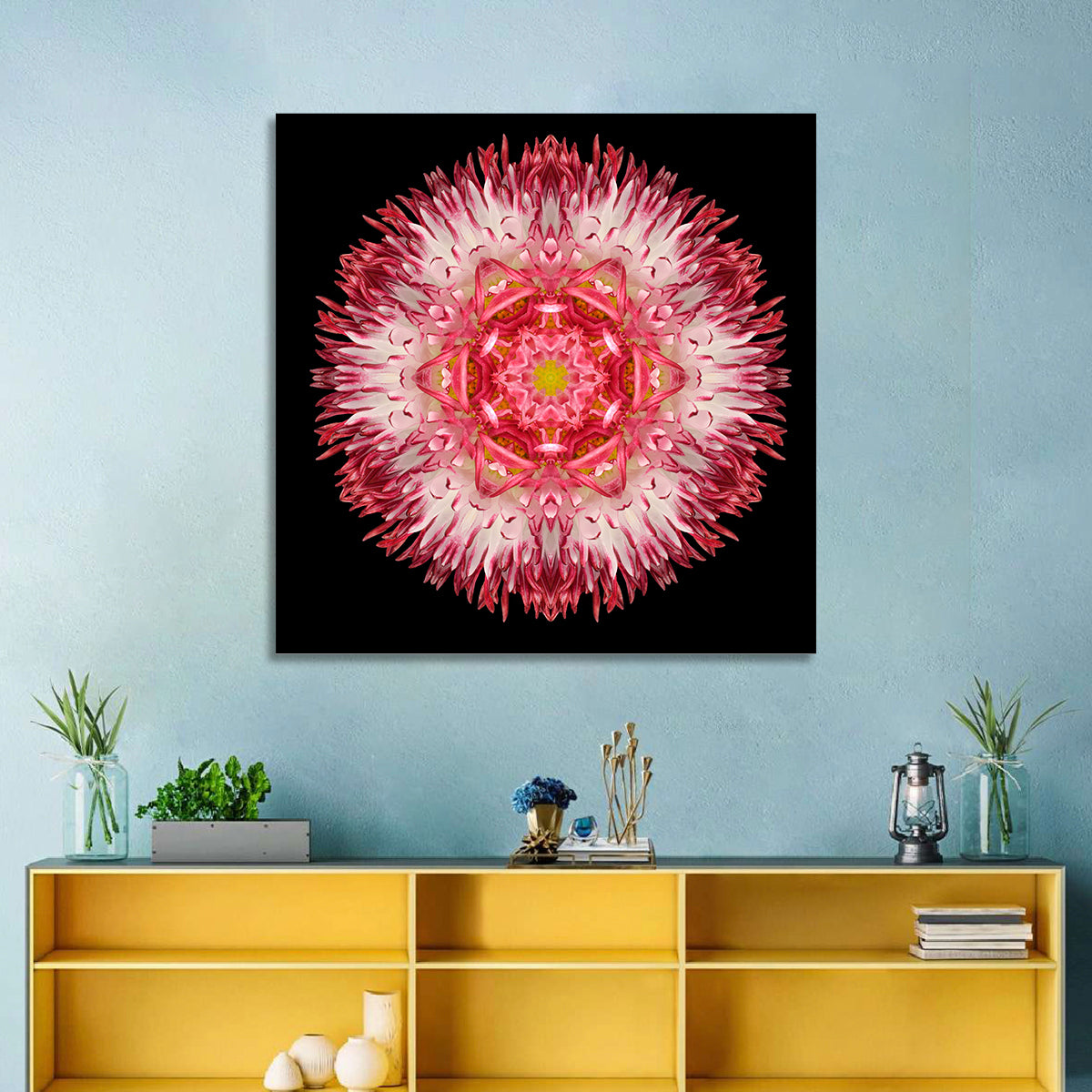 Magenta Chrysanthemum Star Mandala Wall Art in a room, square