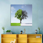 Split Seasons Tree Wall Art