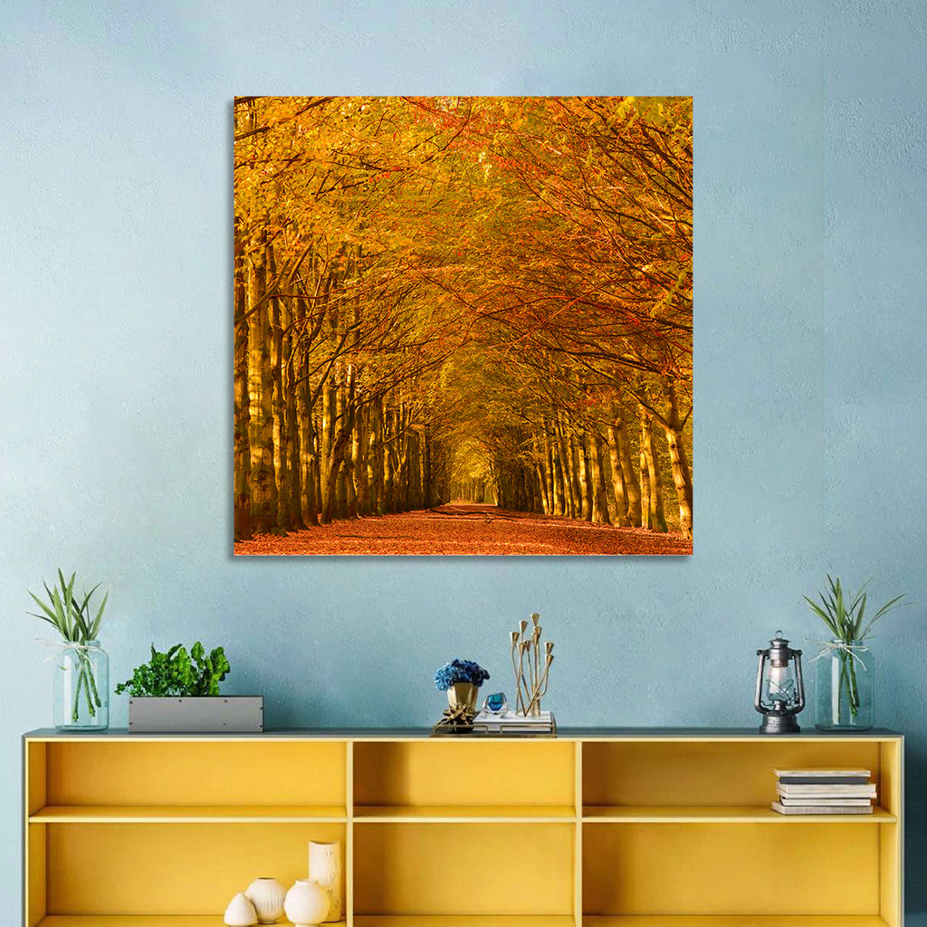 Golden Beech Tree Tunnel in Autumn Wall Art