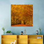 Golden Beech Tree Tunnel in Autumn Wall Art