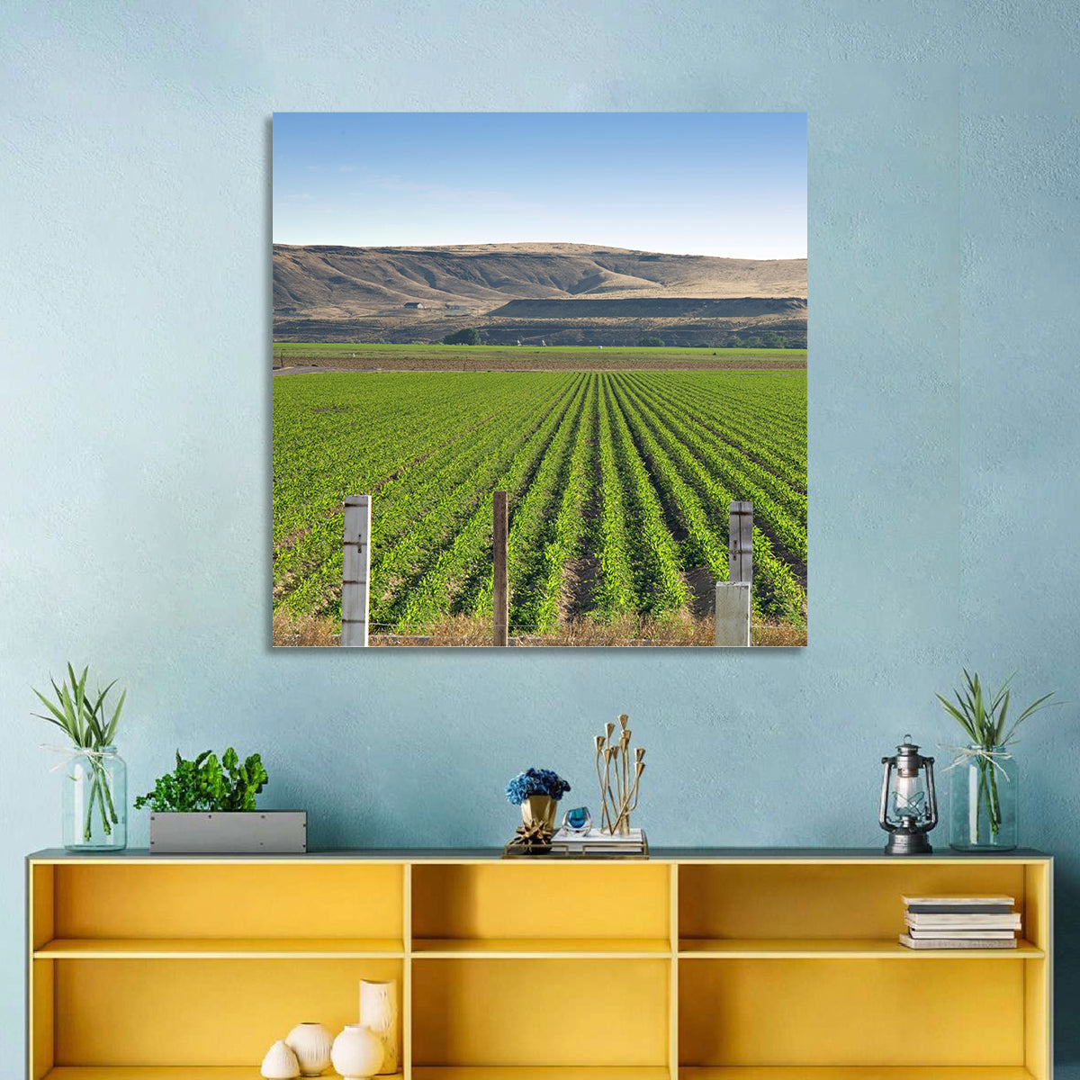 Idaho Corn Field Wall Art in a room, square