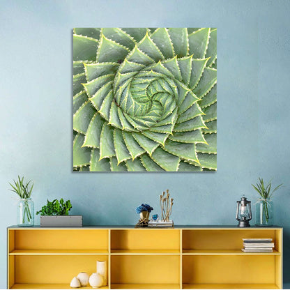 Spiral Aloe Wall Art