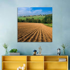 Kansas Wheat Fields Wall Art