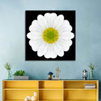 High Contrast Daisy Mandala Pattern Wall Art