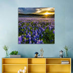 Texas Bluebonnet Field at Sunset Wall Art