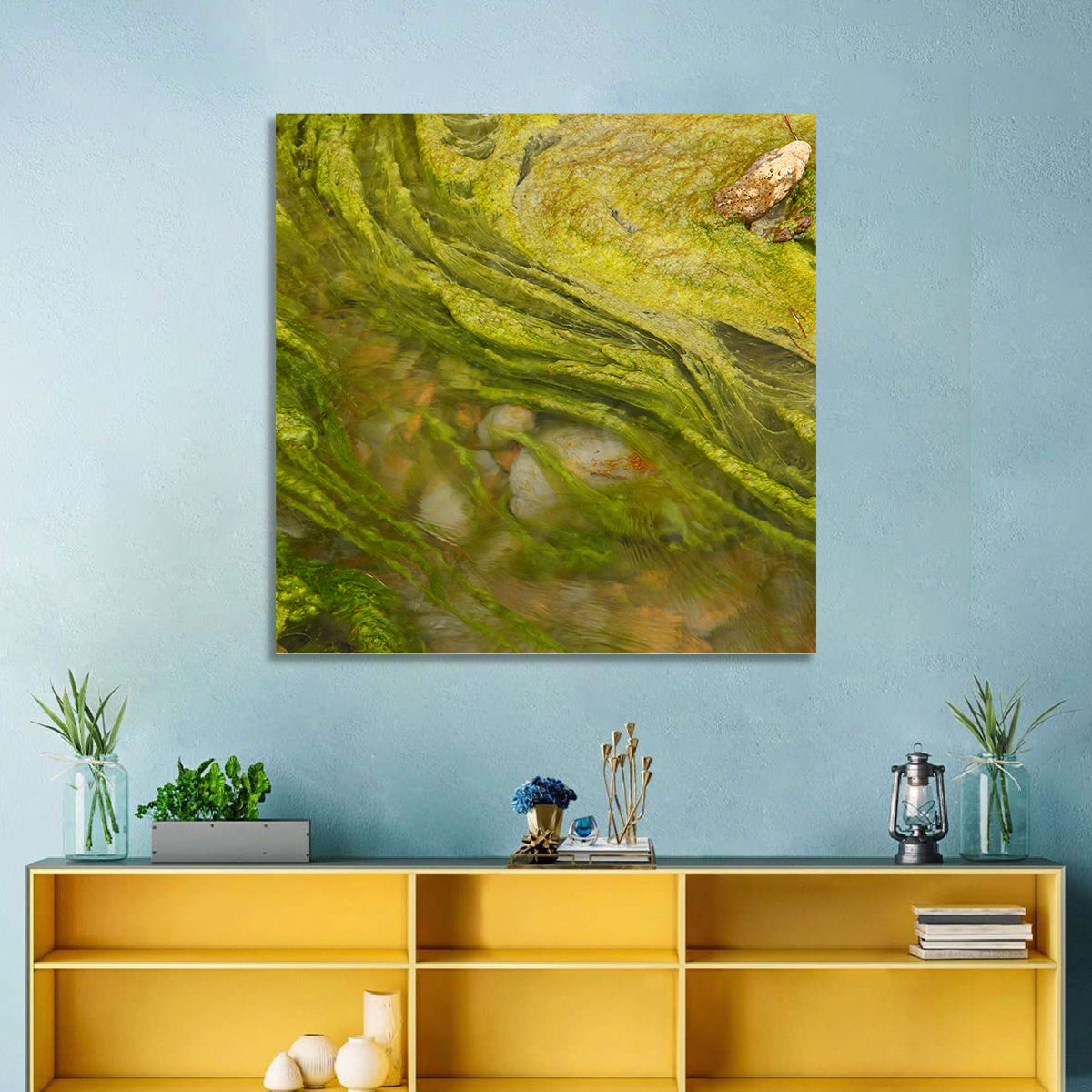 Macro Algae Stream Wall Art in a room, square
