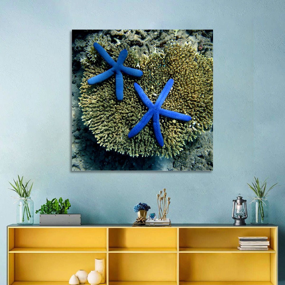 Blue Starfish Wall Art in a room, square