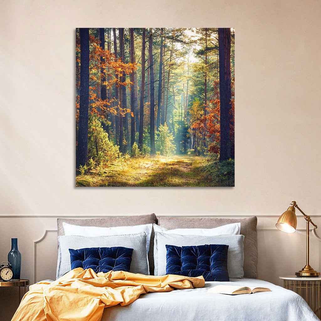 Sunlit Autumn Pine Forest Wall Art