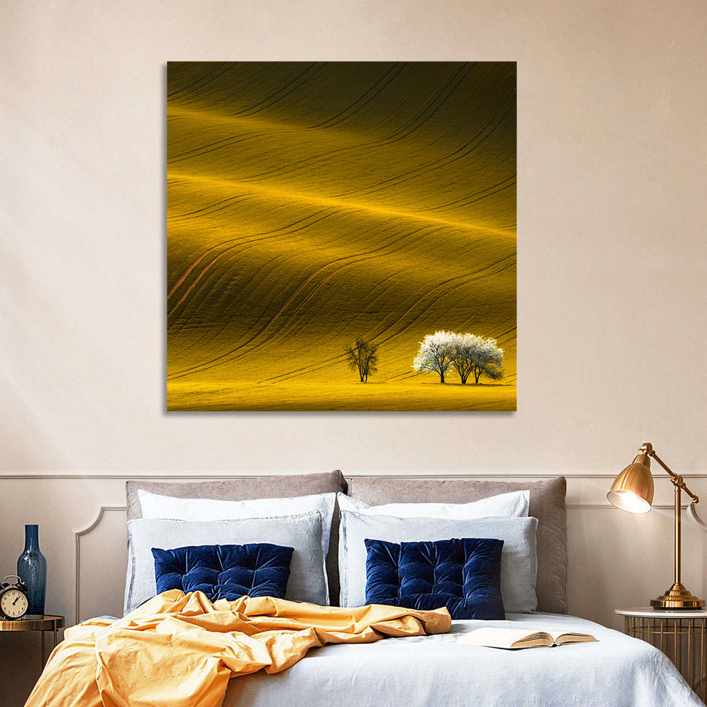 Golden Hour Rapeseed Field Wall Art