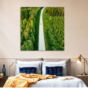 Road Through Forest Wall Art