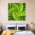 Spiral Aloe Succulent Wall Art