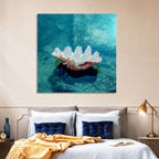 Giant Clam Shell Wall Art
