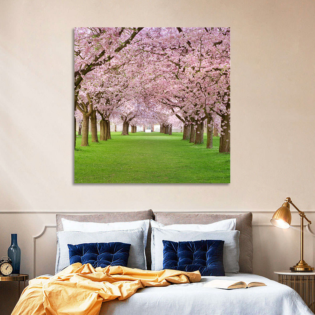 Cherry Blossom Avenue Wall Art