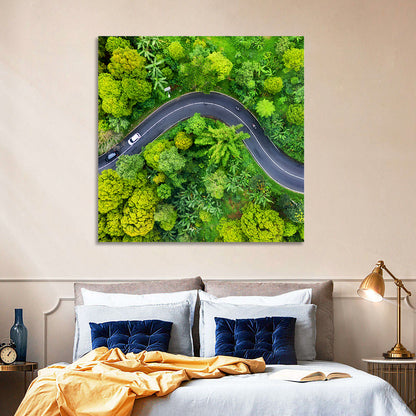 Summer Forest Road Aerial Wall Art