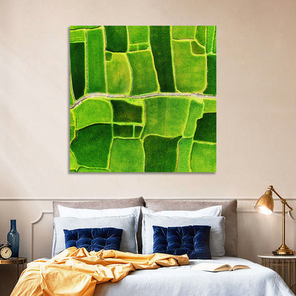 Green Rice Terraces Wall Art