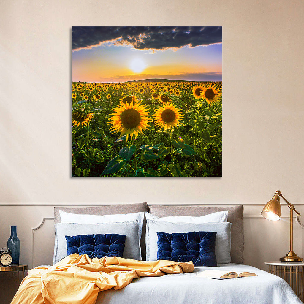 Sunflower Field at Golden Hour Wall Art
