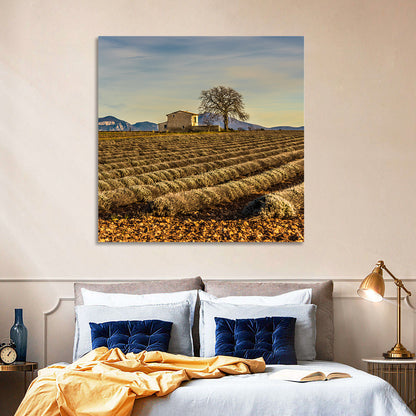 Provence Lavender Wall Art