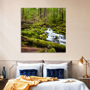 Cascade Forest Stream Wall Art