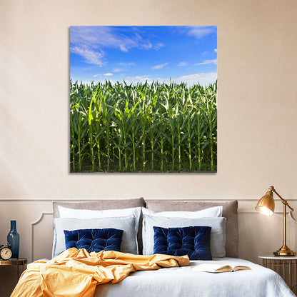 Green Corn Field Wall Art