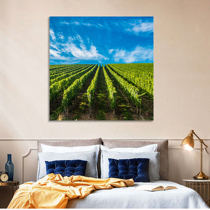 Luxembourg Vineyards Wall Art