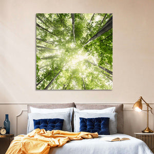 Misty Spring Forest Wall Art