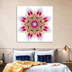 Pink Lily Star Mandala Pattern Wall Art