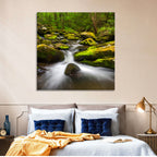 Mossy Forest Stream Wall Art