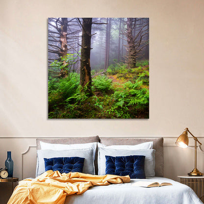 Forest Hiking Trail Wall Art