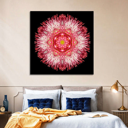 Star Shape Mandala Wall Art